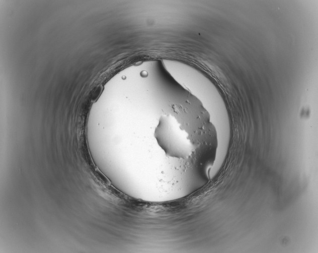 X0000093570409200711051101