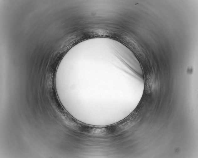 X0000093570410200711051101