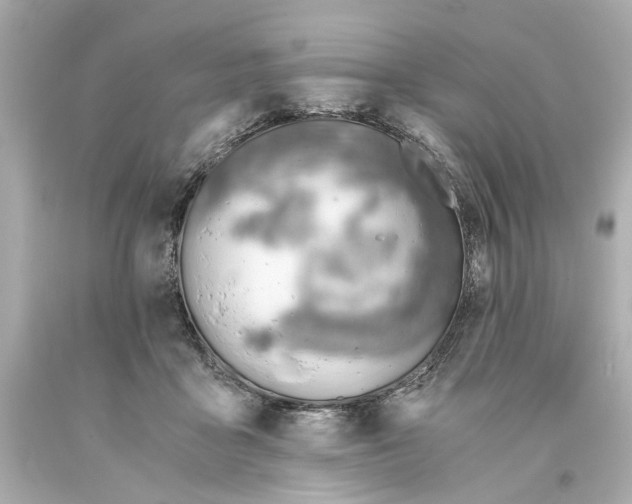 X0000093570411200711051101