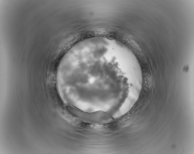 X0000093570419200711051101