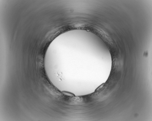 X0000093570421200711051101