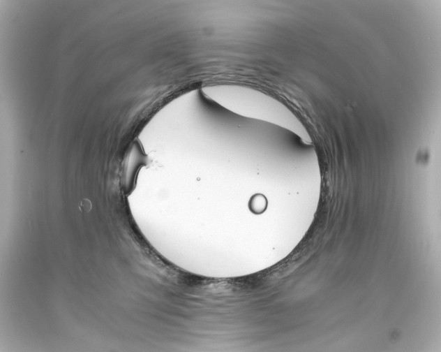 X0000093570423200711051101