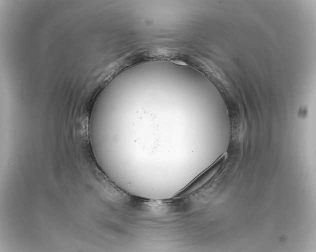 X0000093570425200711051101