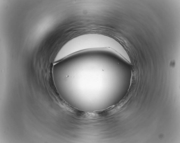 X0000093570429200711051101