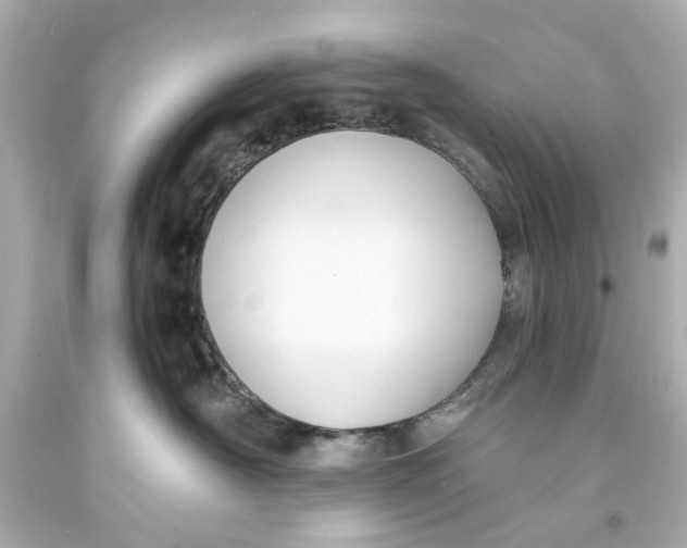 X0000093570430200711051101