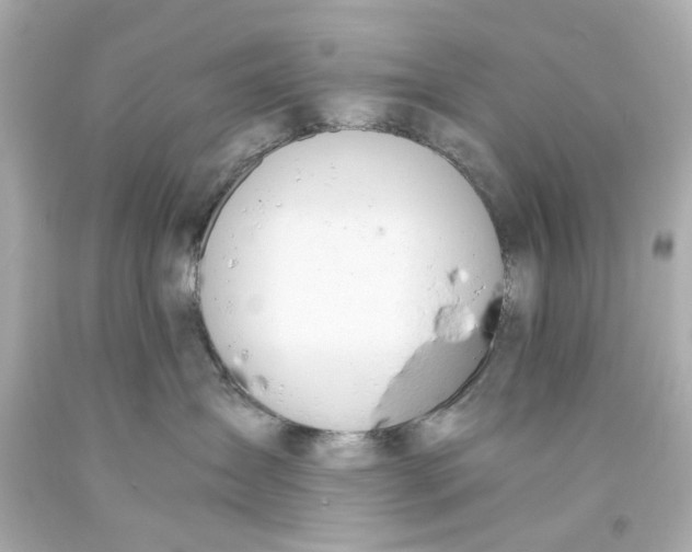 X0000093570431200711051101