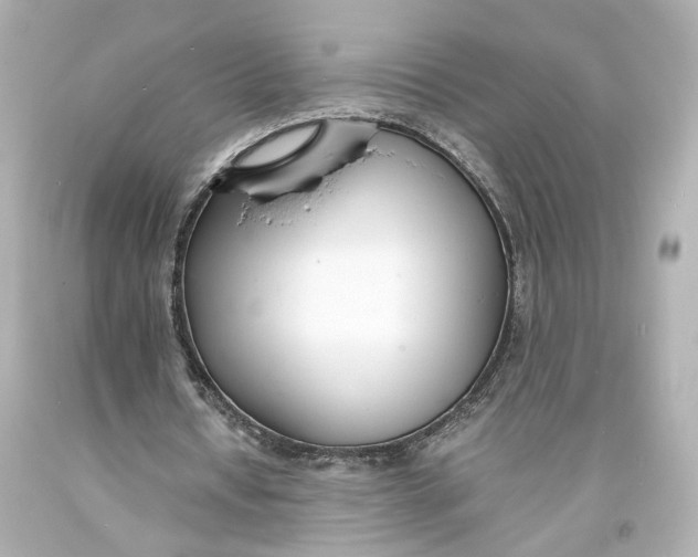 X0000093570434200711051100
