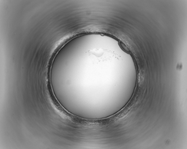 X0000093570438200711051100