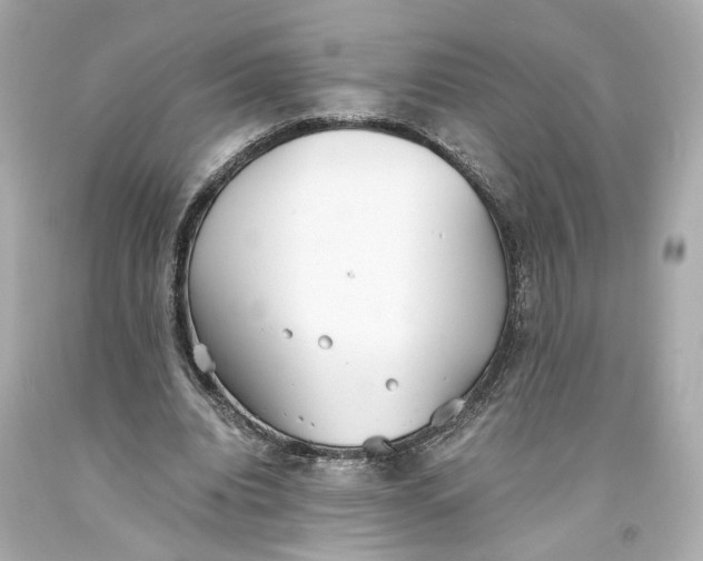 X0000093570440200711051100