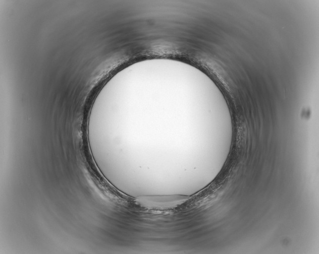 X0000093570443200711051100