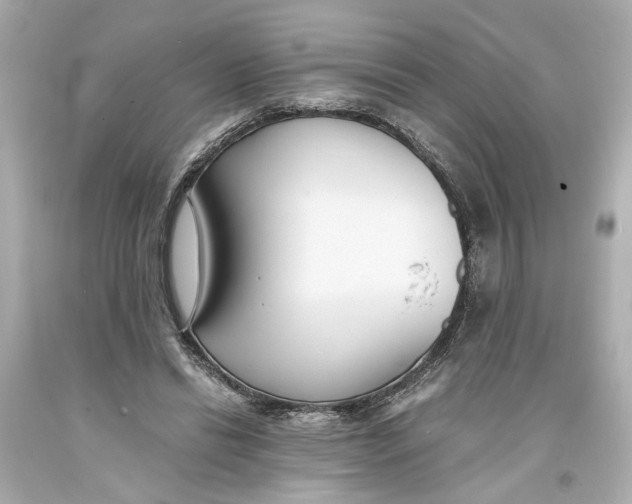 X0000093570446200711051100