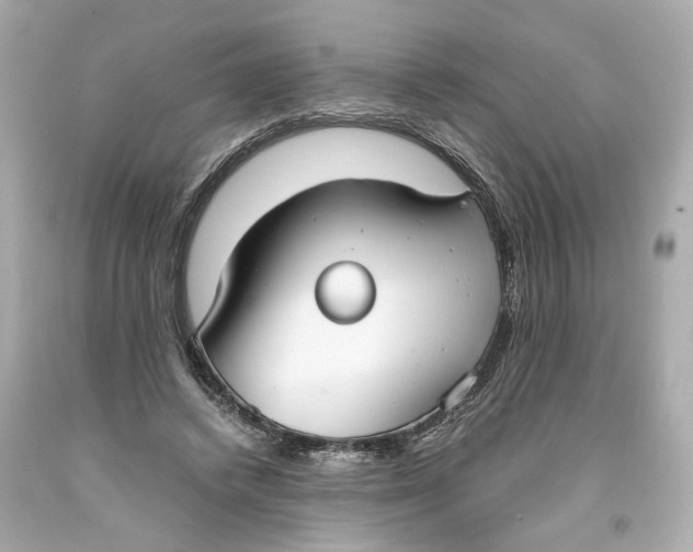 X0000093570448200711051101