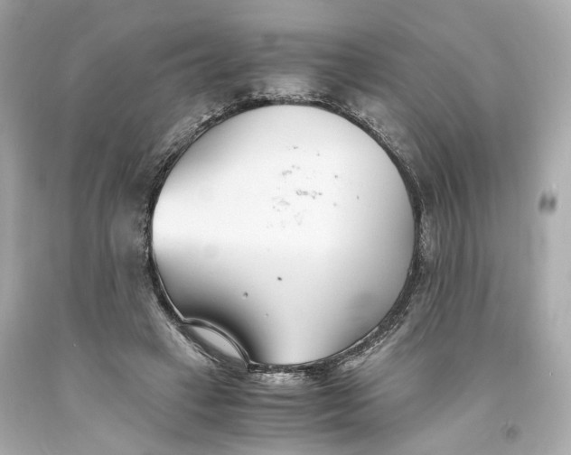 X0000093570449200711051101