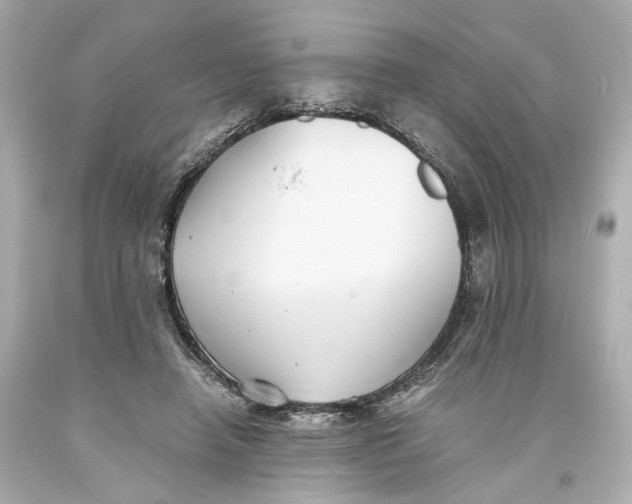 X0000093570450200711051101