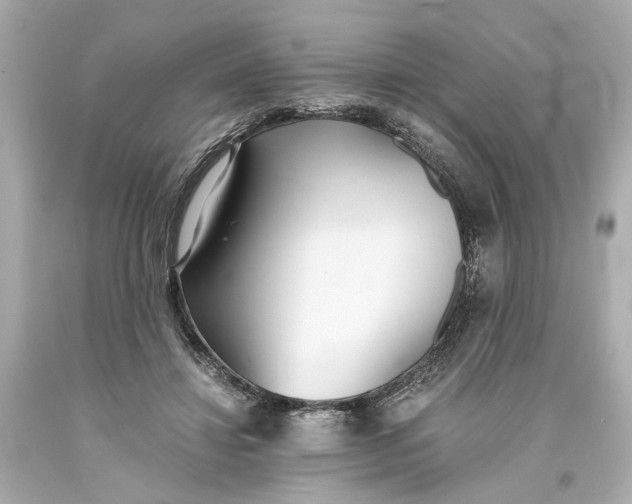 X0000093570452200711051101