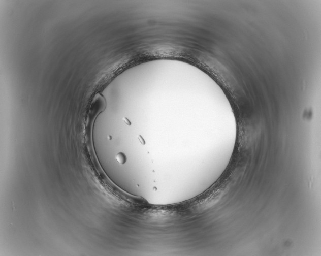 X0000093570453200711051101