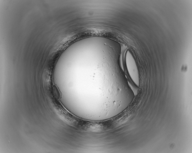 X0000093570456200711051101