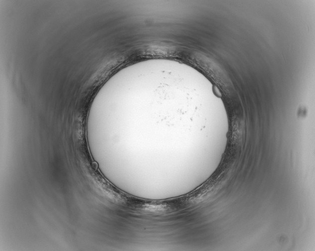 X0000093570457200711051101