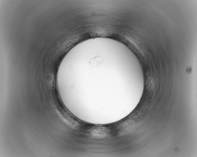 X0000093570459200711051101