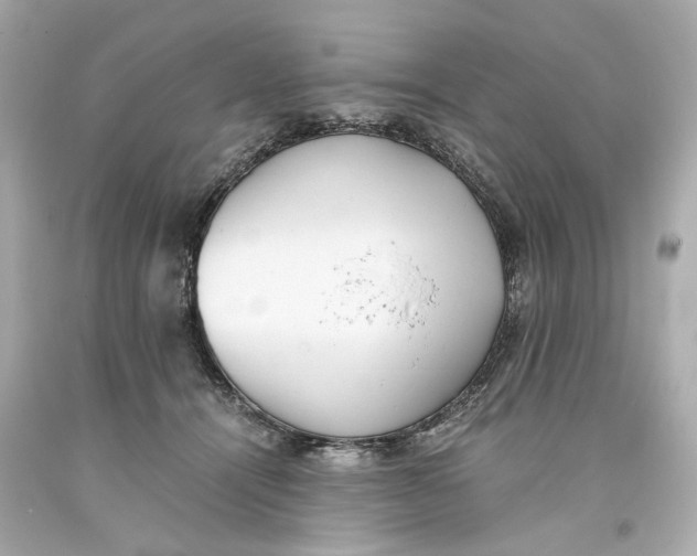 X0000093570464200711051101