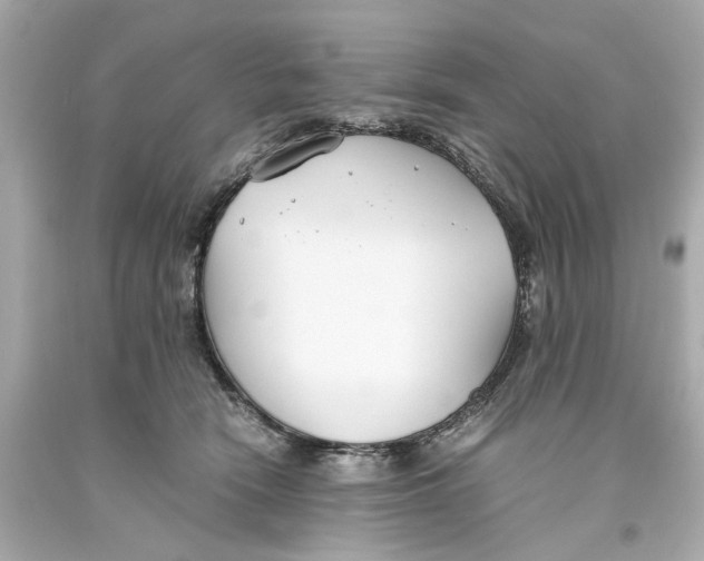 X0000093570466200711051101