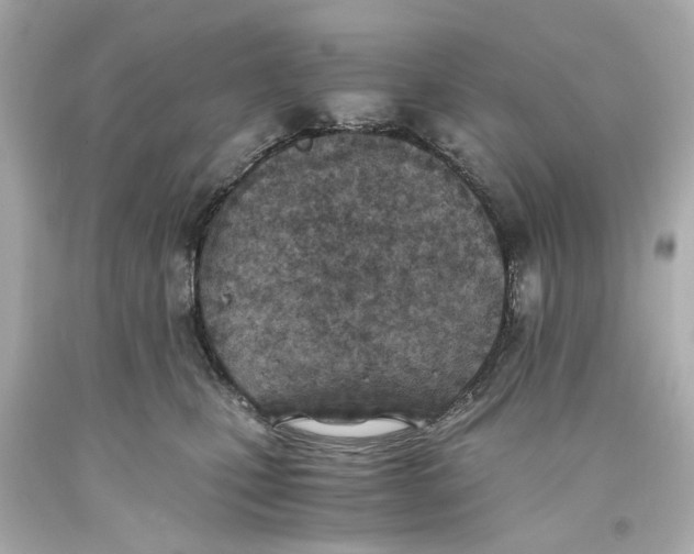 X0000093570471200711051101