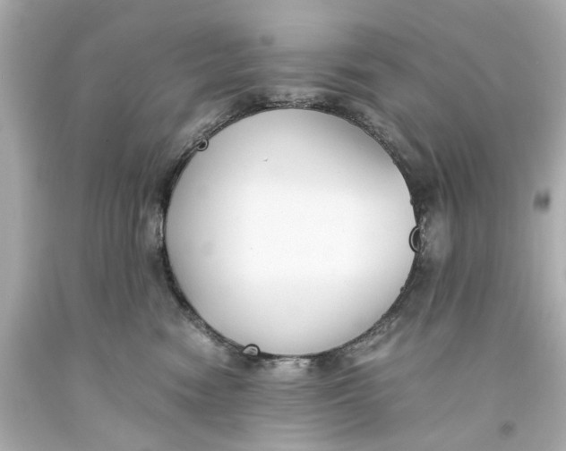 X0000093570474200711051101