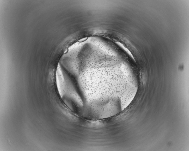 X0000093570475200711051101