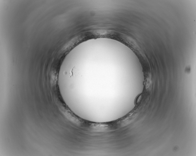 X0000093570476200711051101