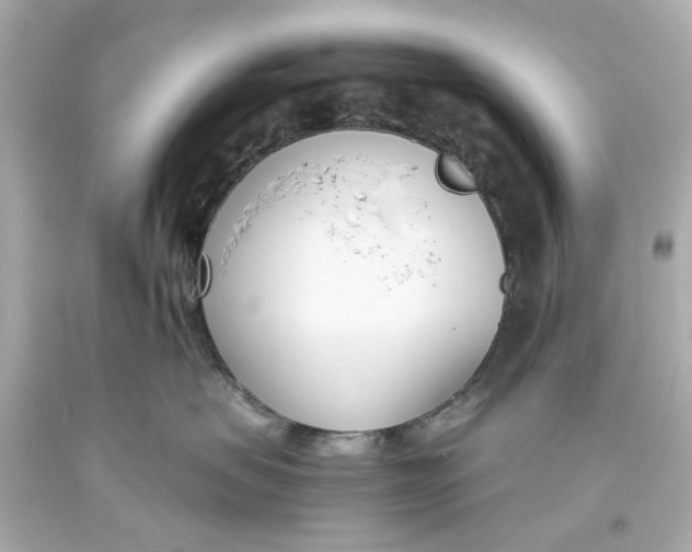 X0000093570479200711051101