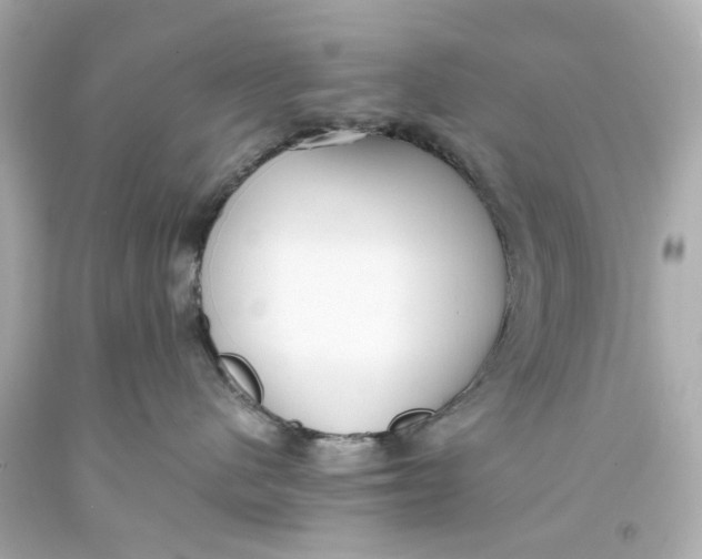 X0000093570480200711051101