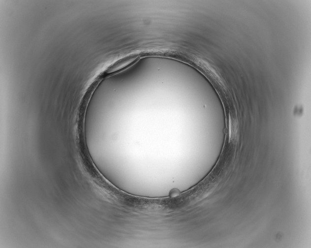 X0000093570483200711051100