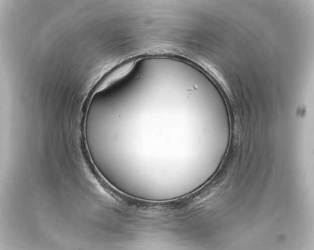 X0000093570485200711051100