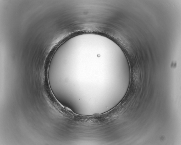 X0000093570488200711051100