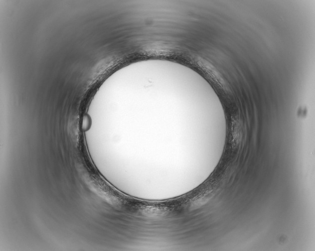 X0000093570494200711051100