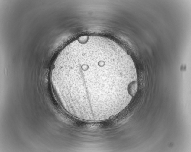 X0000093570495200711051100