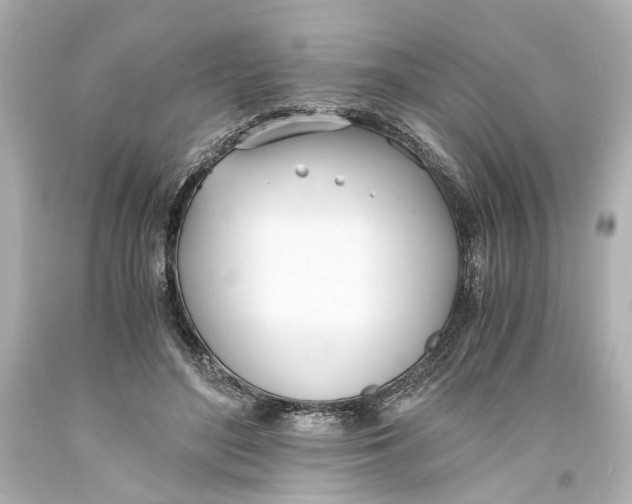 X0000093570500200711051100