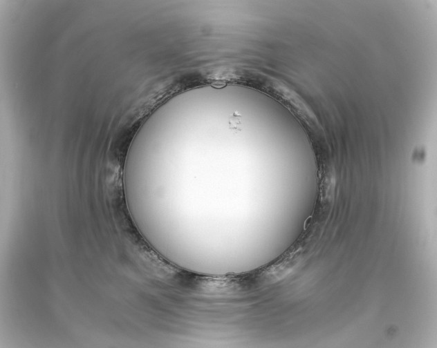 X0000093570521200711051100