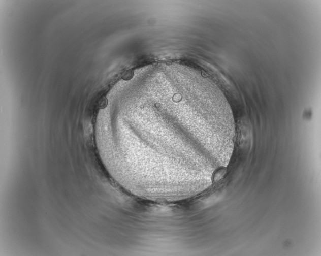 X0000093570523200711051100