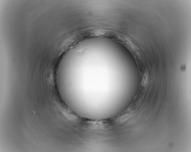 X0000093570524200711051100