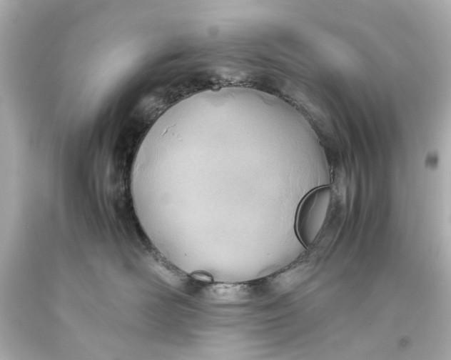 X0000093570526200711051100