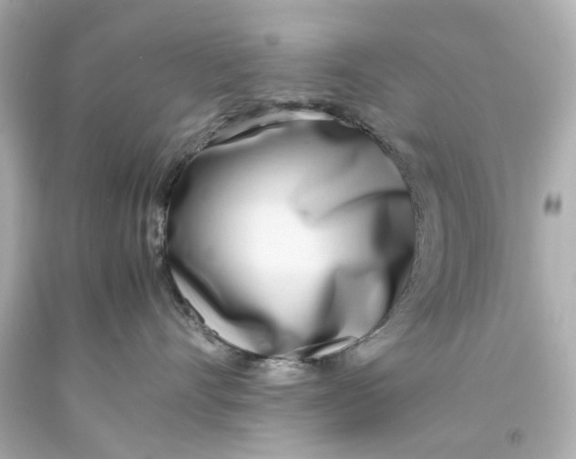 X0000093570528200711051100