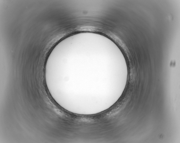 X0000093570529200711051059