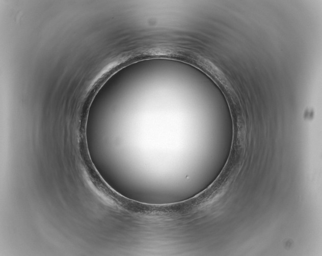 X0000093570530200711051059