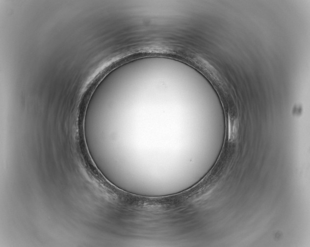 X0000093570531200711051059