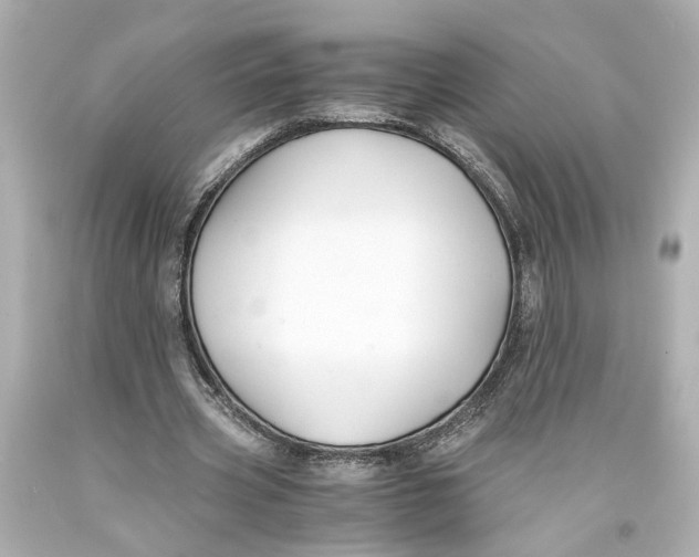 X0000093570533200711051059