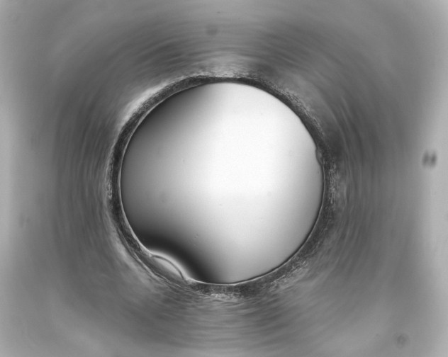 X0000093570536200711051059