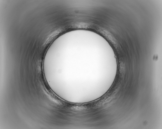 X0000093570537200711051059