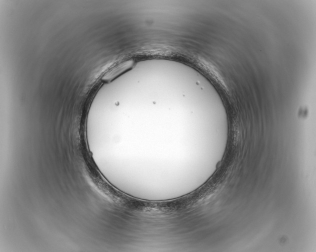 X0000093570538200711051059