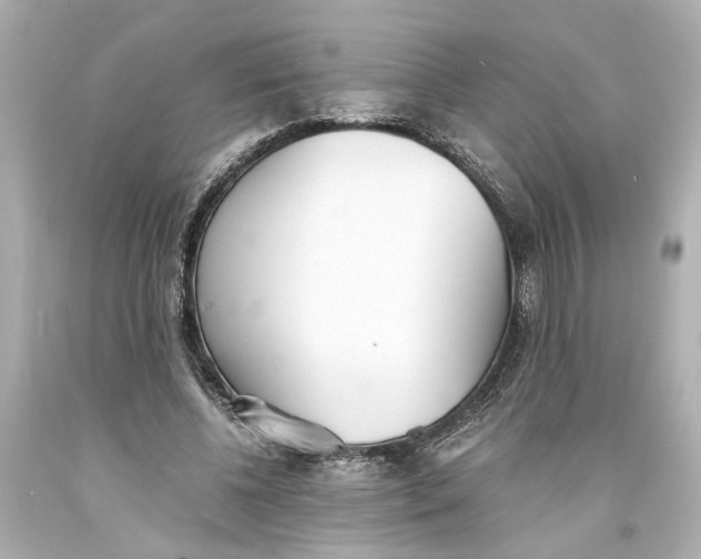 X0000093570540200711051059
